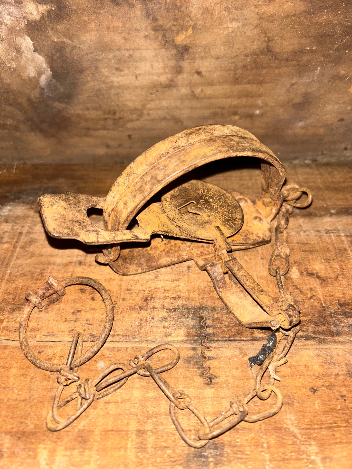 Oneida Jump #1 Animal Trap