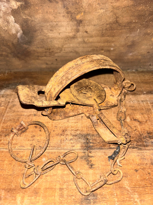 Oneida Jump #1 Animal Trap