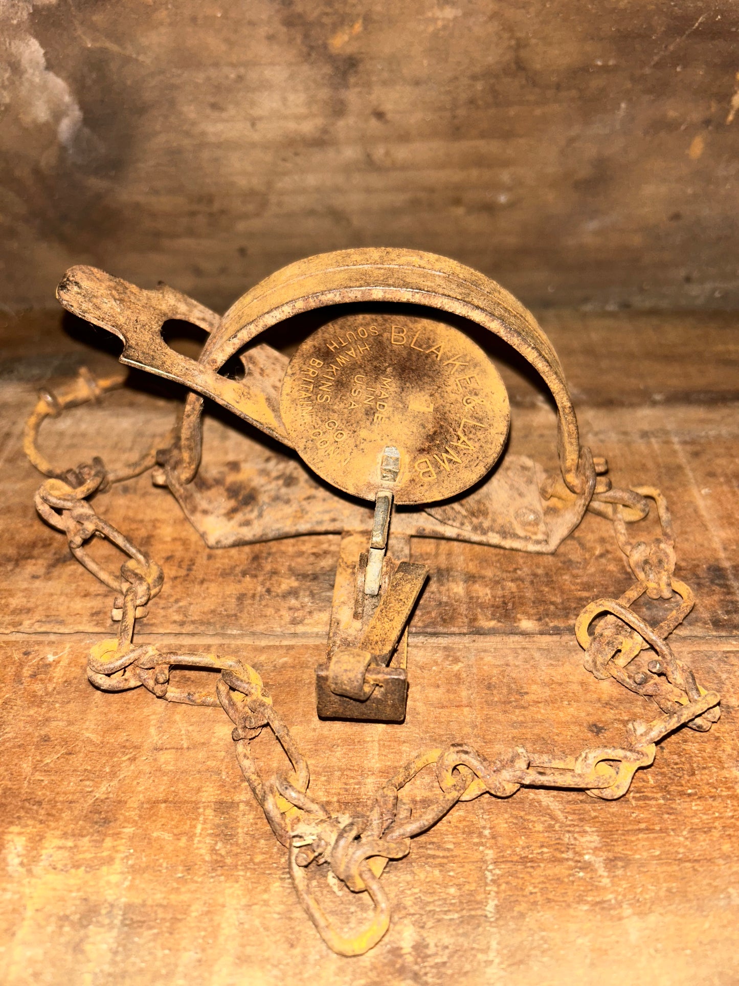 Blake and Lamb #1 Animal Trap