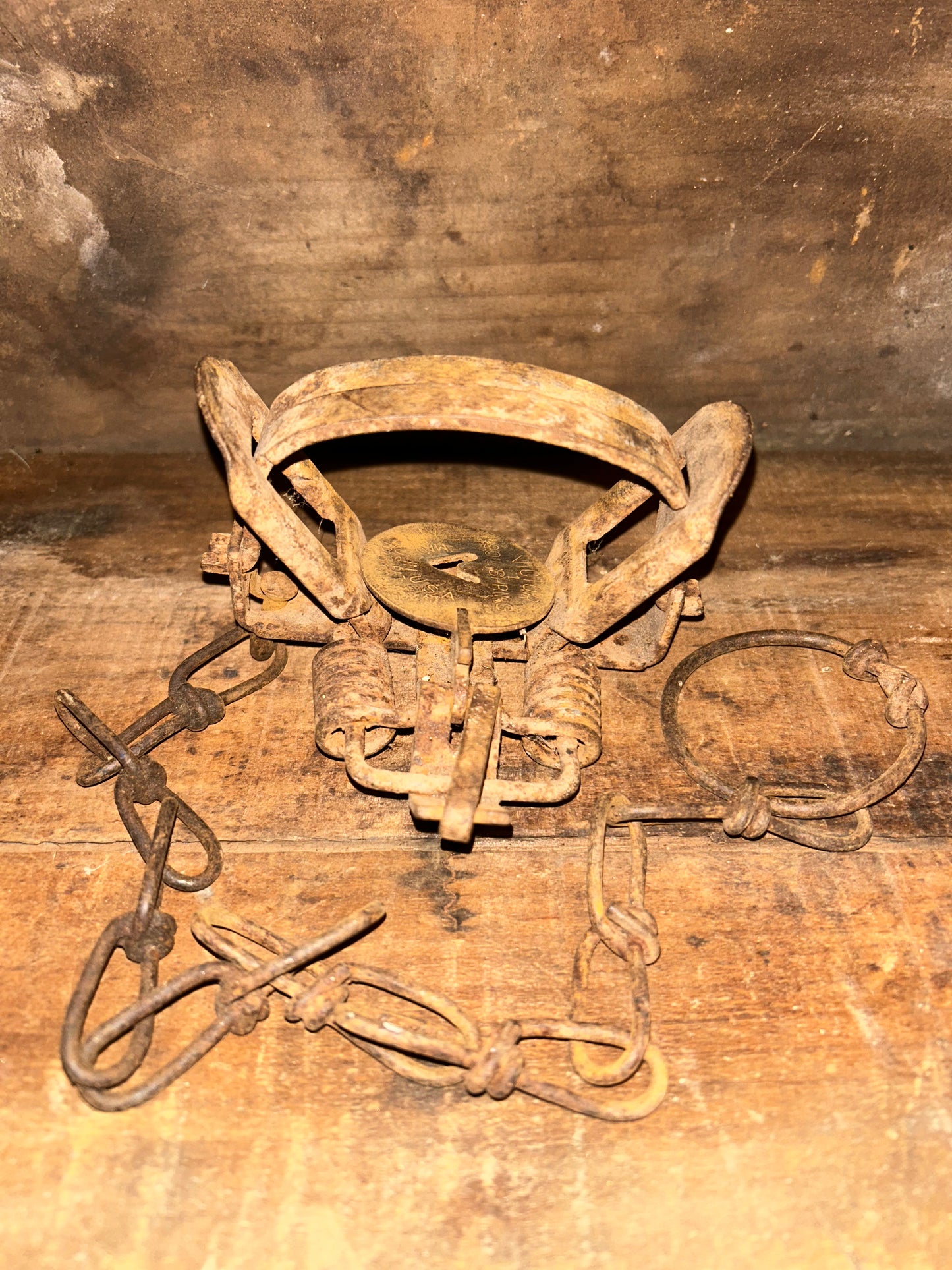 Victor #1 Coil Spring Animal Trap