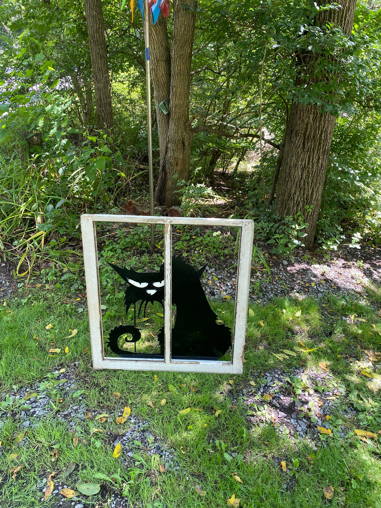 Black Cat in Vintage Window