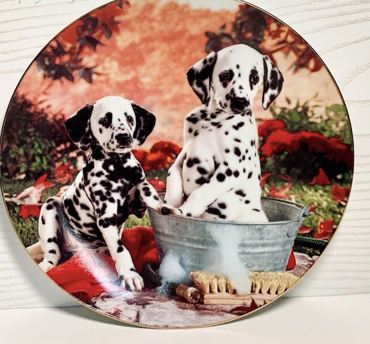 You Missed A Spot Dalmatian Plate