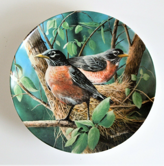 The Robin Collector Plate