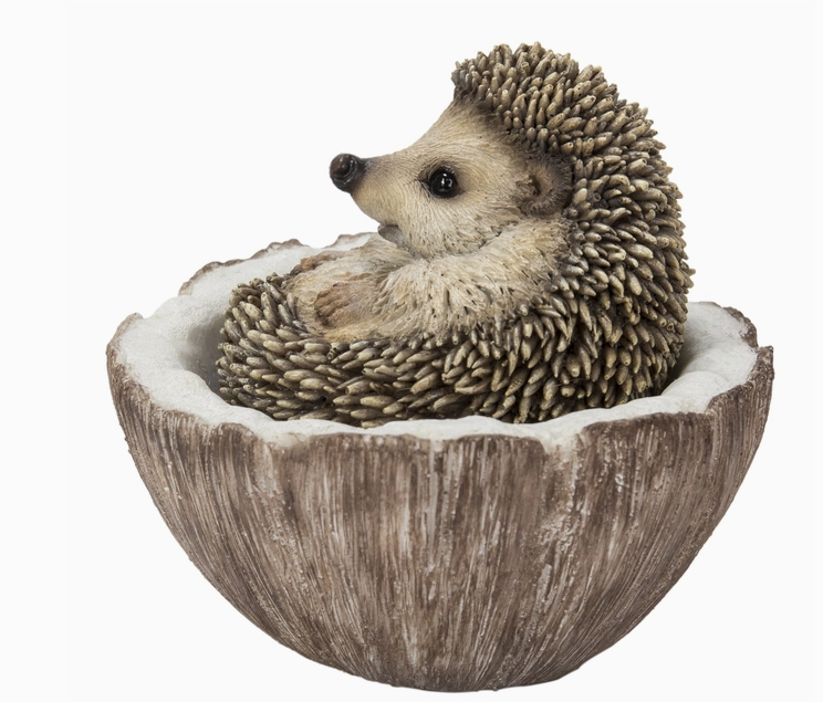 Coconut Hedgehog