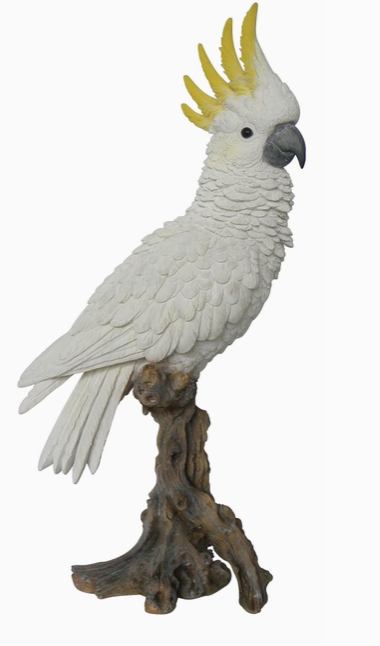 Cockatoo On Branch