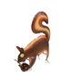 Squirrel W/Acorn