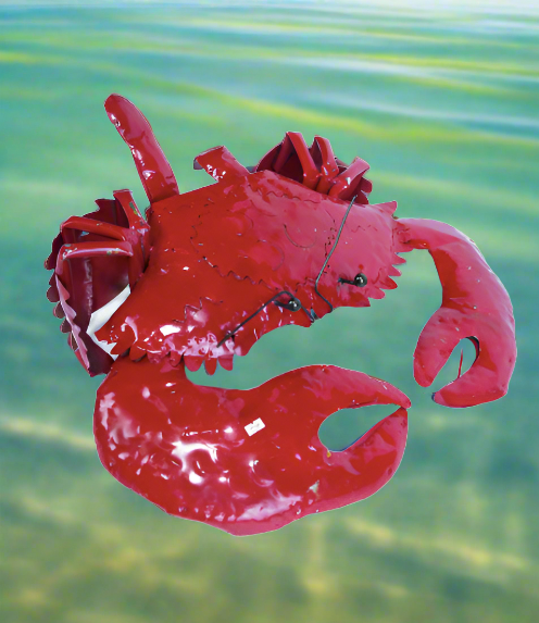 Small Red Crab