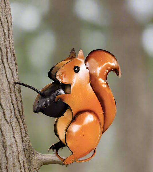 Sitting Squirrel Eating Acorn