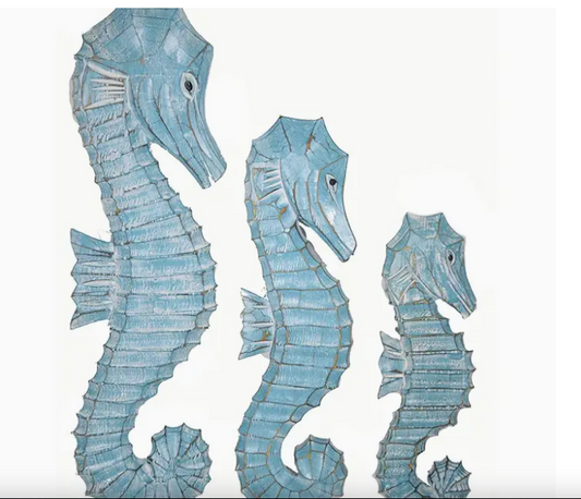 Small Seahorse