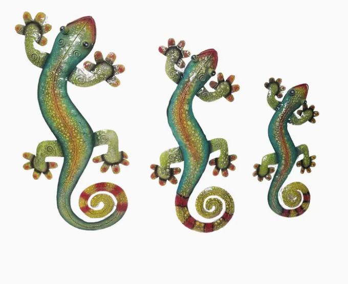 Medium Gecko  Multi color