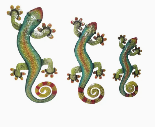 Medium Gecko  Multi color