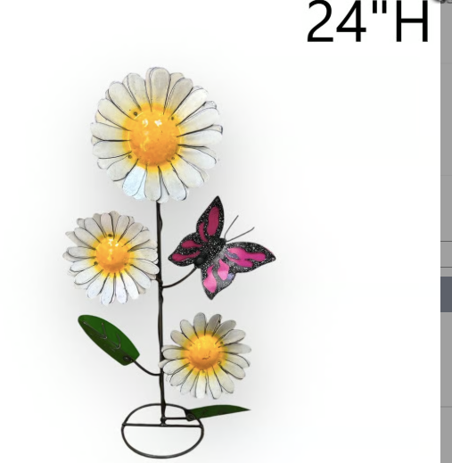 Daisy W/ Butterfly