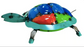 Colorful Turtle