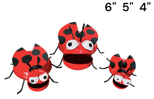 Mini Lady Bugs