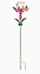 Solar Pink Flower Spinner Stake