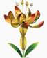Solar Yellow Spinner Stake