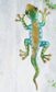Rainbow Gecko