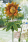 Be Jolly Rainbow Sunflower Stake