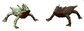 Horned Lizard mini