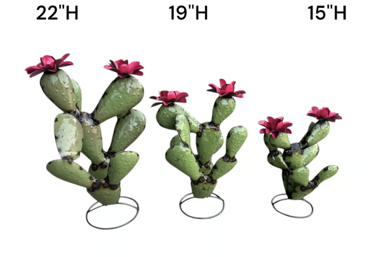 Medium Olive Nopal Cactus
