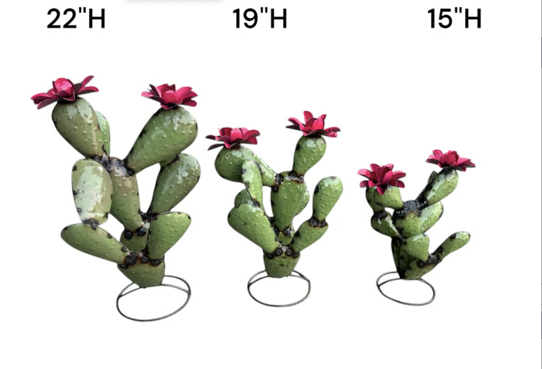 Small Olive Nopal Cactus
