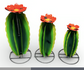 Lg  Cactus With Flower