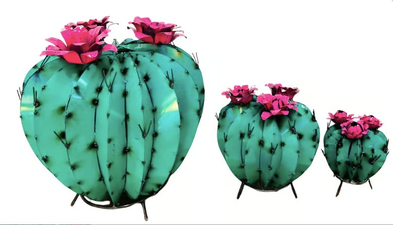 Lg  Pincushion cactus