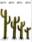 Saguaro Cactus Olive Med