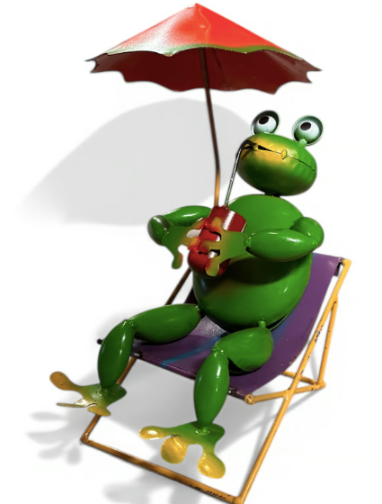 Frog On Beach Chair