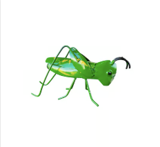 Grasshopper