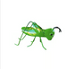 Grasshopper