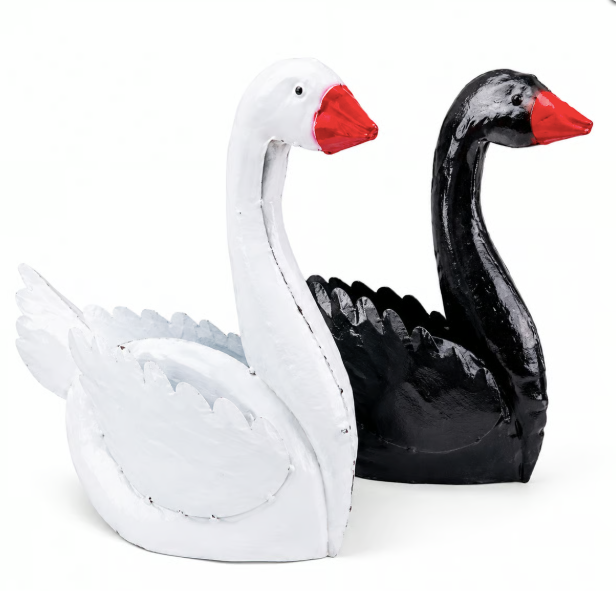 Swan