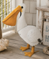 Large Pelican