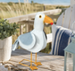 Seagull