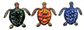 Wall Turtles 13"