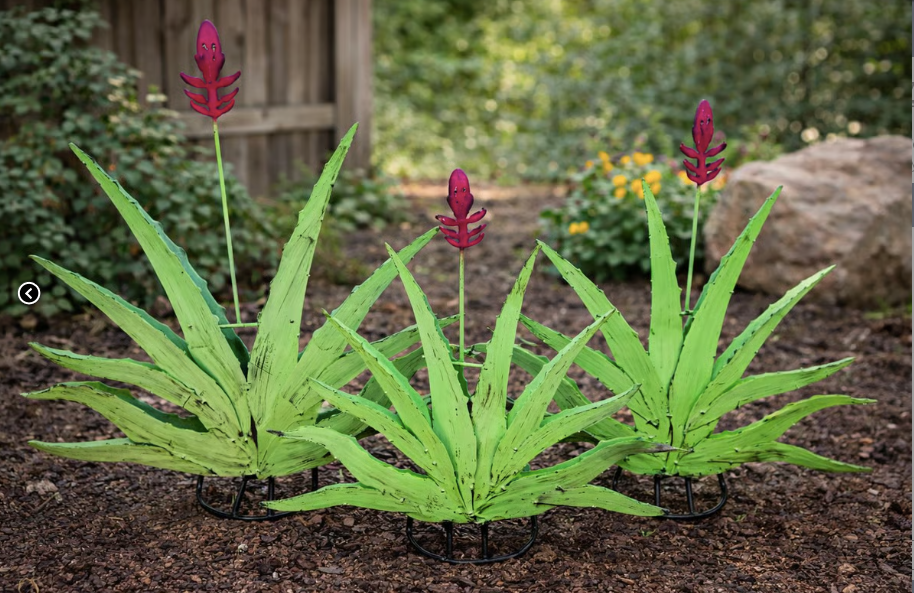 Agave W/ Flower Sm.