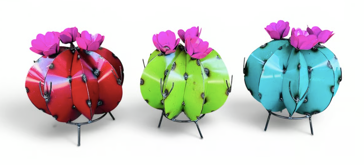 Pincushion Cactus Asst.