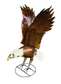 Standing Eagle
