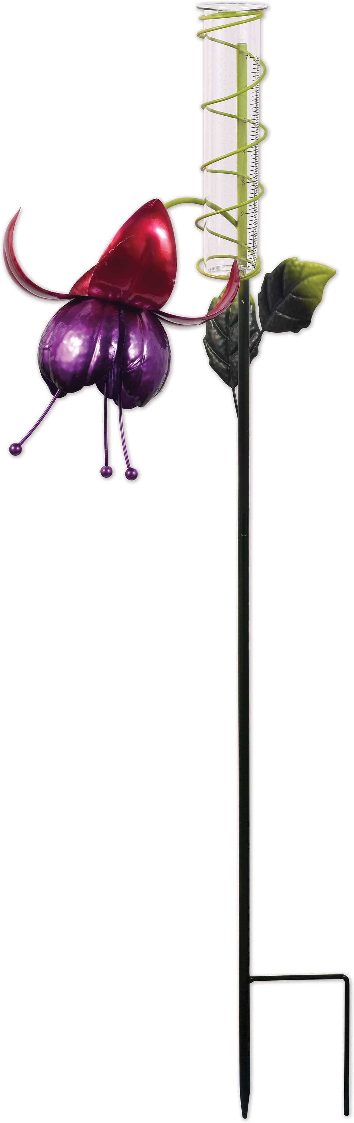 Fuschia Rain Gauge