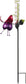 Fuschia Rain Gauge