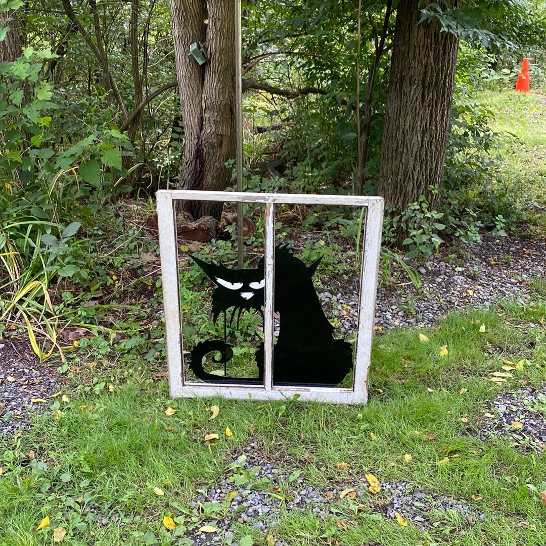 Black Cat in Vintage Window