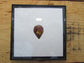 Gibson Mandolin Pick