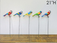 21'' Parrot stake