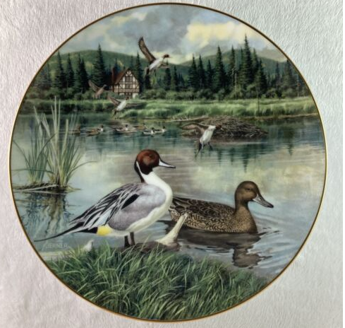 The Pin Tail Duck Plate